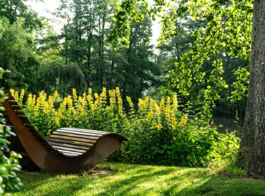 Jardin moderne en été : comment créer un extérieur élégant qui dure